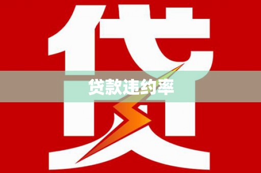 玛沁贷款违约率