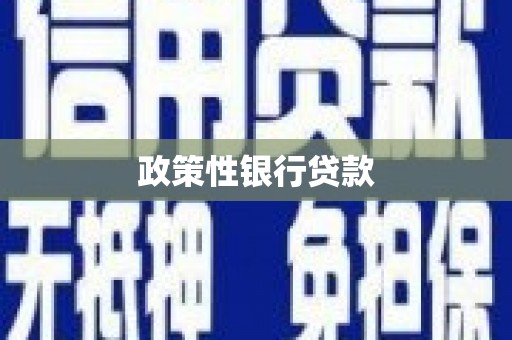 玛沁政策性银行贷款