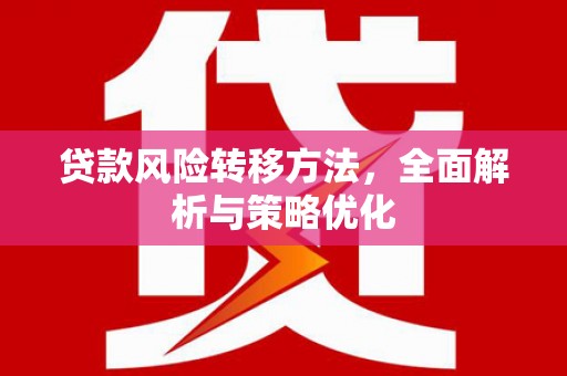 玛沁贷款风险转移方法，全面解析与策略优化