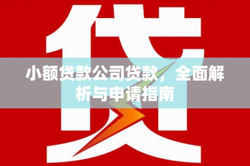 玛沁小额贷款公司贷款，全面解析与申请指南