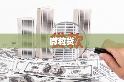 玛沁微粒贷