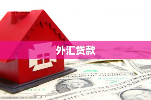 玛沁外汇贷款