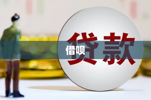 玛沁借呗
