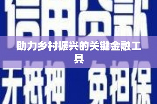 玛沁助力乡村振兴的关键金融工具