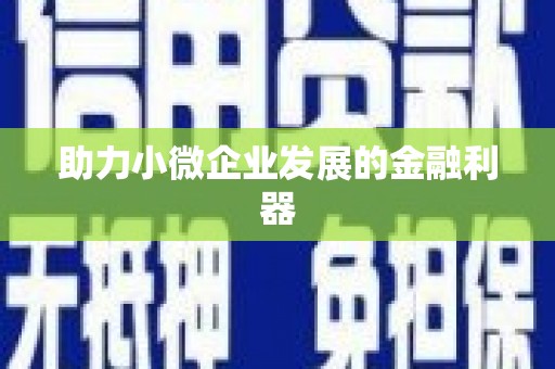 玛沁助力小微企业发展的金融利器