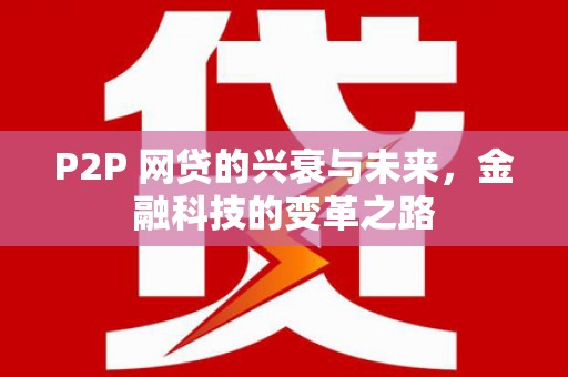 玛沁P2P 网贷的兴衰与未来，金融科技的变革之路