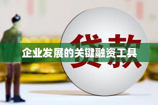玛沁企业发展的关键融资工具