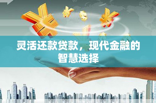 玛沁灵活还款贷款，现代金融的智慧选择