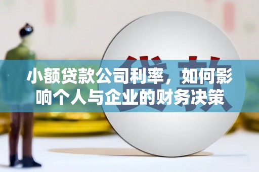 玛沁小额贷款公司利率，如何影响个人与企业的财务决策