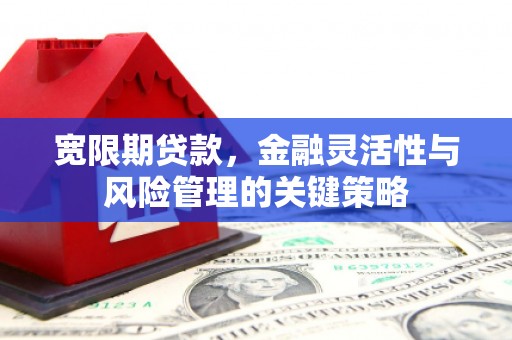 玛沁宽限期贷款，金融灵活性与风险管理的关键策略