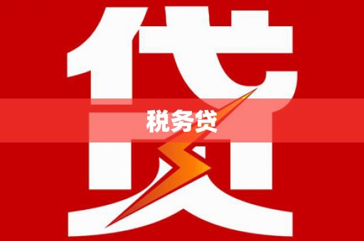 玛沁税务贷