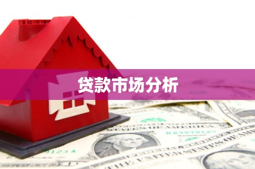 玛沁贷款市场分析