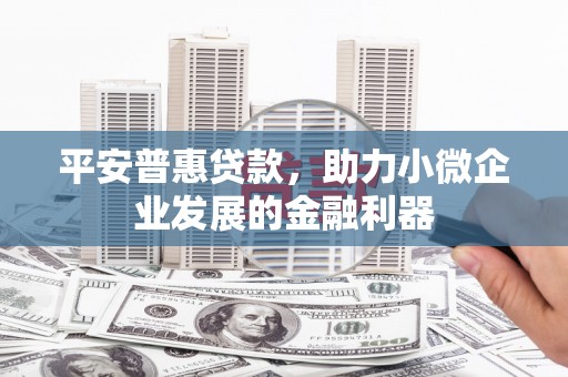 玛沁平安普惠贷款，助力小微企业发展的金融利器
