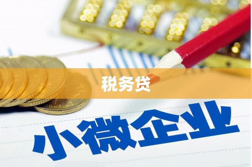 玛沁税务贷