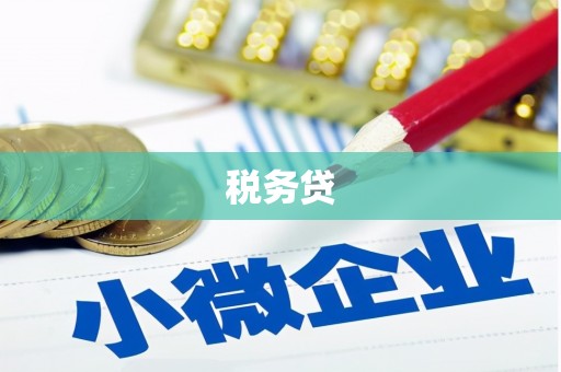 玛沁税务贷