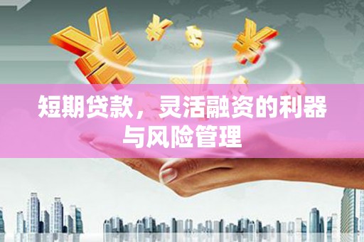 玛沁短期贷款，灵活融资的利器与风险管理