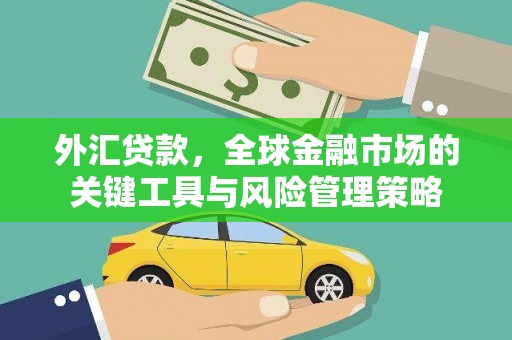 玛沁外汇贷款，全球金融市场的关键工具与风险管理策略