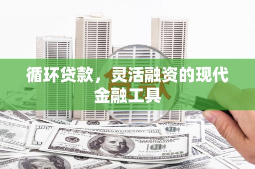 玛沁循环贷款，灵活融资的现代金融工具