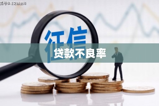 玛沁贷款不良率