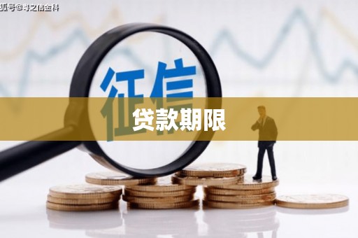 玛沁贷款期限