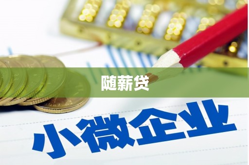 玛沁随薪贷