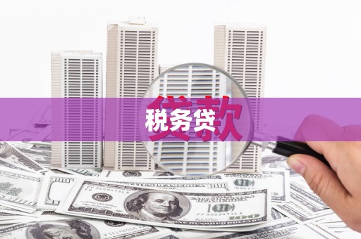 玛沁税务贷
