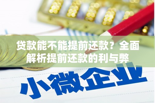 玛沁贷款能不能提前还款？全面解析提前还款的利与弊