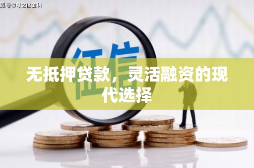 玛沁无抵押贷款，灵活融资的现代选择