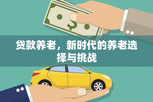 玛沁贷款养老，新时代的养老选择与挑战