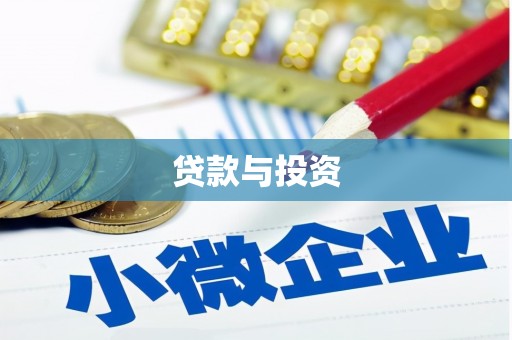 玛沁贷款与投资