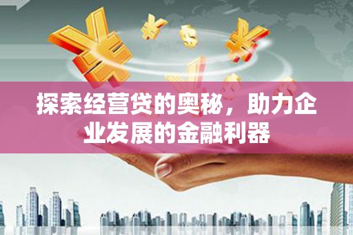 玛沁探索经营贷的奥秘，助力企业发展的金融利器