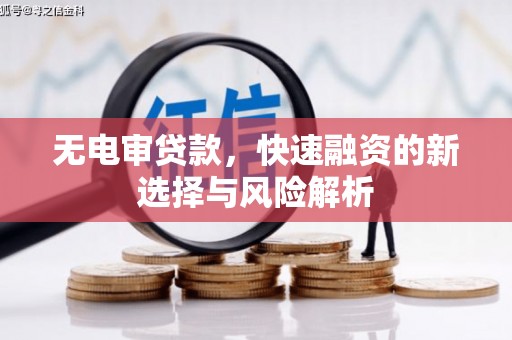 玛沁无电审贷款，快速融资的新选择与风险解析