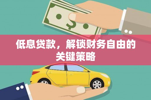 玛沁低息贷款，解锁财务自由的关键策略