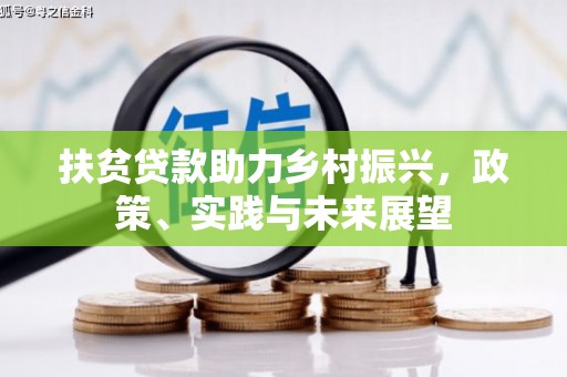 玛沁扶贫贷款助力乡村振兴，政策、实践与未来展望