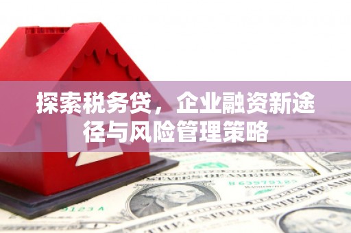 玛沁探索税务贷，企业融资新途径与风险管理策略