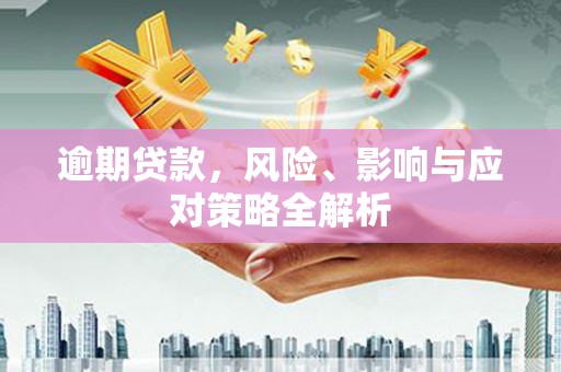 玛沁逾期贷款，风险、影响与应对策略全解析