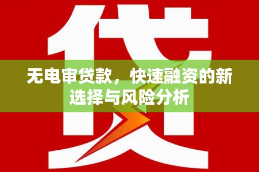 玛沁无电审贷款，快速融资的新选择与风险分析