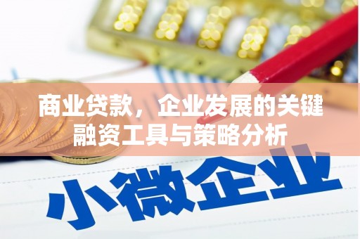 玛沁商业贷款，企业发展的关键融资工具与策略分析