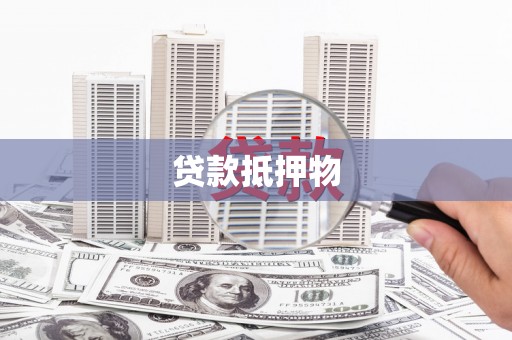 玛沁贷款抵押物