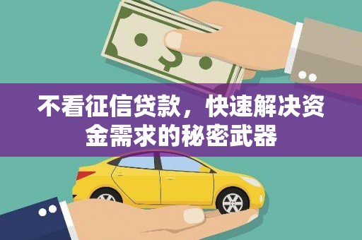 玛沁不看征信贷款，快速解决资金需求的秘密武器