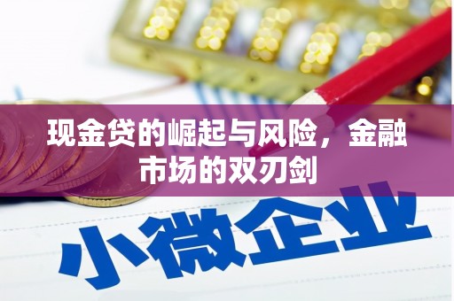 玛沁现金贷的崛起与风险，金融市场的双刃剑