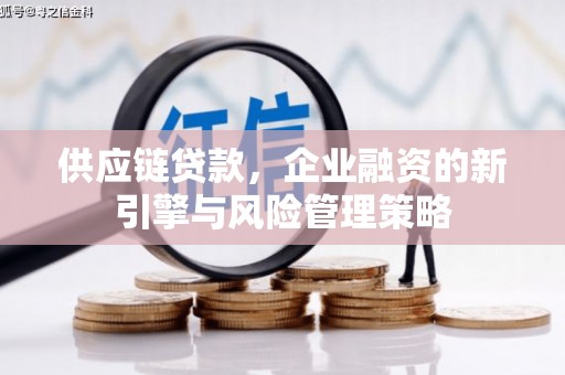 玛沁供应链贷款，企业融资的新引擎与风险管理策略