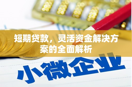 玛沁短期贷款，灵活资金解决方案的全面解析