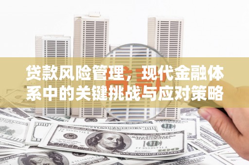 玛沁贷款风险管理，现代金融体系中的关键挑战与应对策略