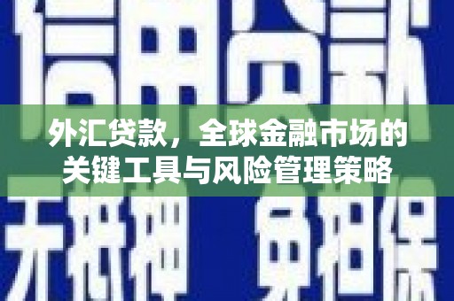 玛沁外汇贷款，全球金融市场的关键工具与风险管理策略