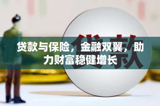 玛沁贷款与保险，金融双翼，助力财富稳健增长