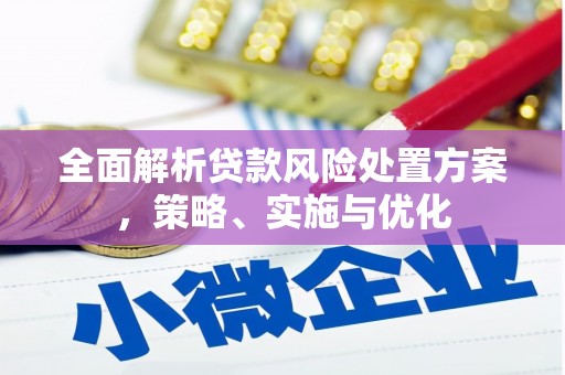 玛沁全面解析贷款风险处置方案，策略、实施与优化