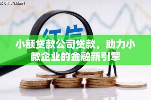 玛沁小额贷款公司贷款，助力小微企业的金融新引擎