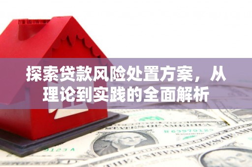 玛沁探索贷款风险处置方案，从理论到实践的全面解析