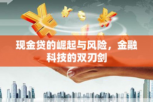玛沁现金贷的崛起与风险，金融科技的双刃剑